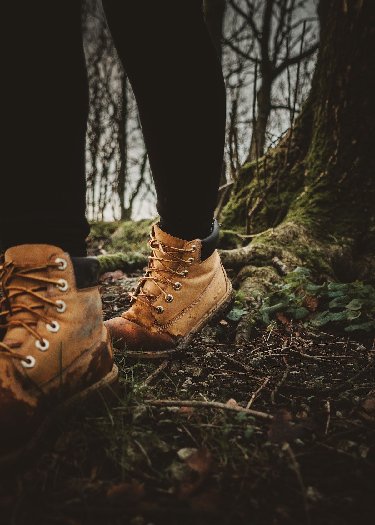 The Best Danner Hiking Boot A Product Review